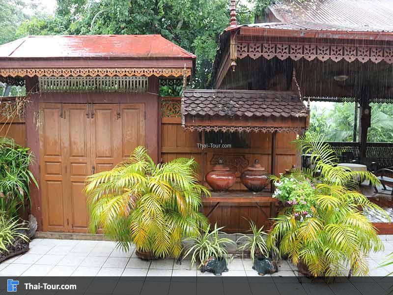 บนบ้านมีต้นไม้ปลูก