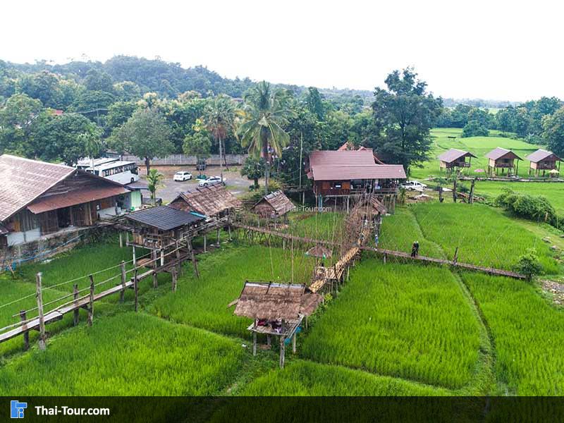 บรรยากาศทุ่งนาเขียวๆสวยๆ