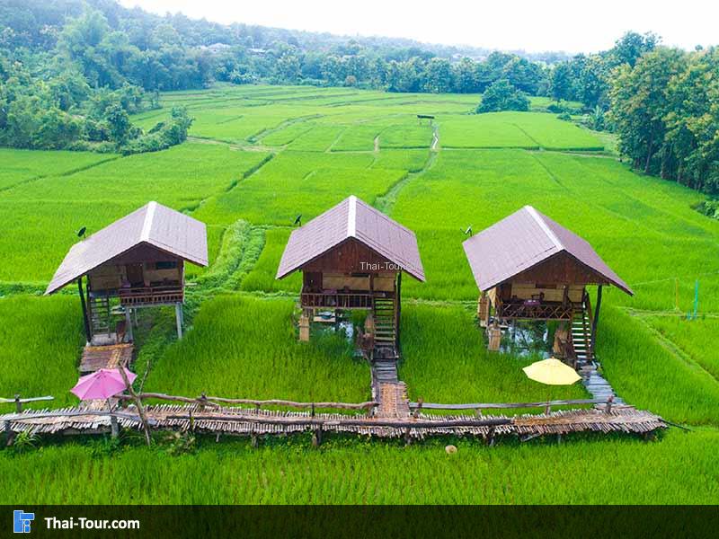 มุมอีกด้านของร้านกาแฟบ้านไทลื้อ