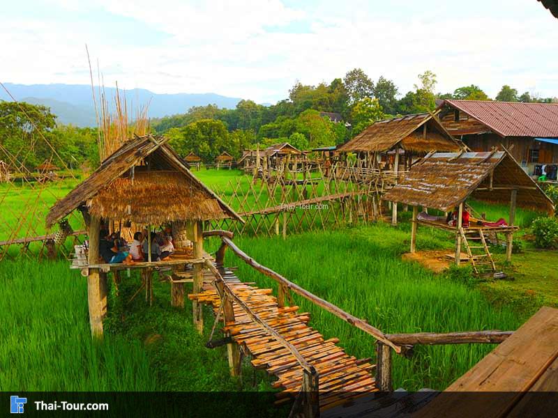 ร้านกาแฟบ้านไทลื้อ