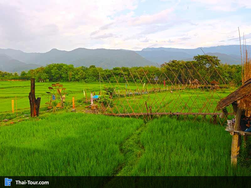 มุมสวยๆ ของร้านกาแฟบ้านไทลื้อ