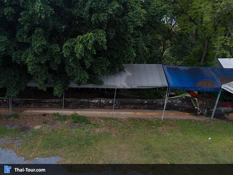 มุมสูงต้นตะเคียน