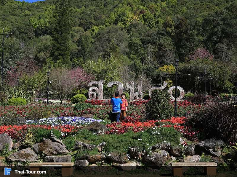 สวน 80 สวนไม้ดอก