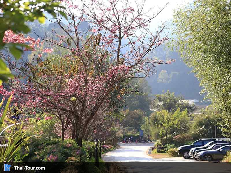 วิวบรรยากาศสวยๆ ชิวไปอีกแบบ