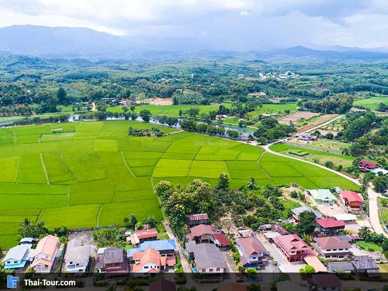 วิวรอบๆ ข้างบนของวัดหนองบัว มองเห็นภูเขาทุ่งนา