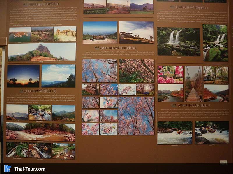 รูปภาพบรรยากาศจังหวัดน่าน