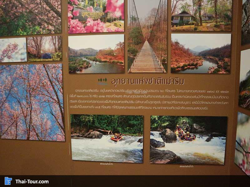 ภาพพญาเสือโคร่ง และ ล่องแก่ง