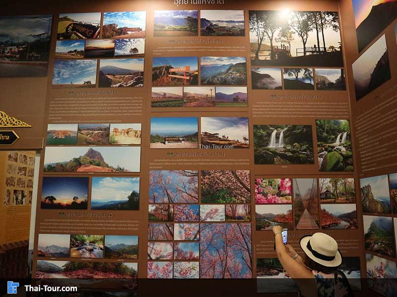 รวบรวมภาพสวยๆ ของจังหวัดน่าน