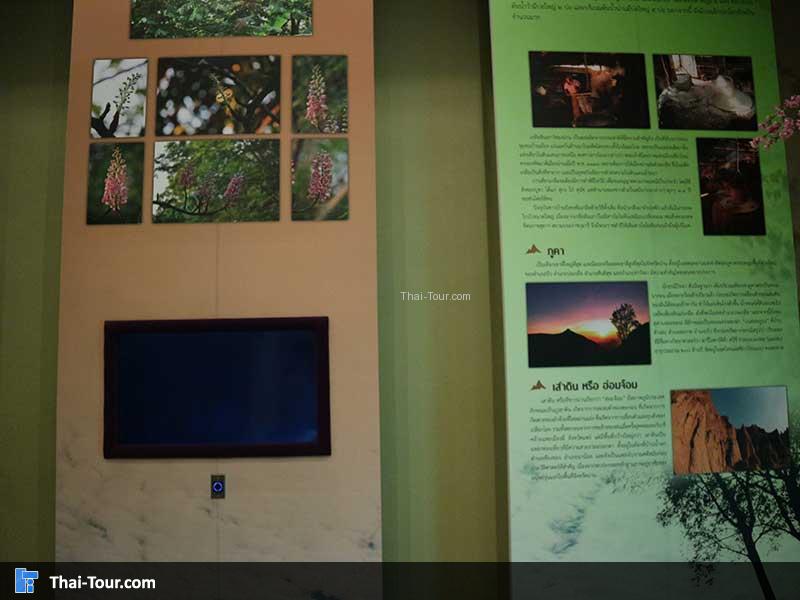 จุดแสดงเรื่องเล่า