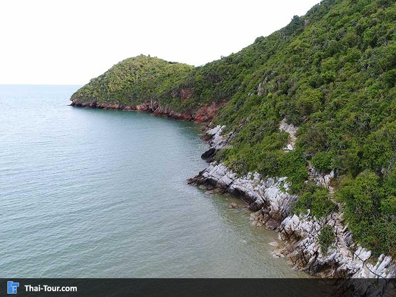 มุมด้านข้างของเขากะโหลก