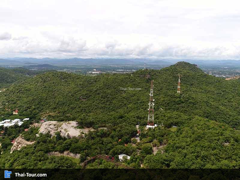 วิวต้นไม้สวยๆ