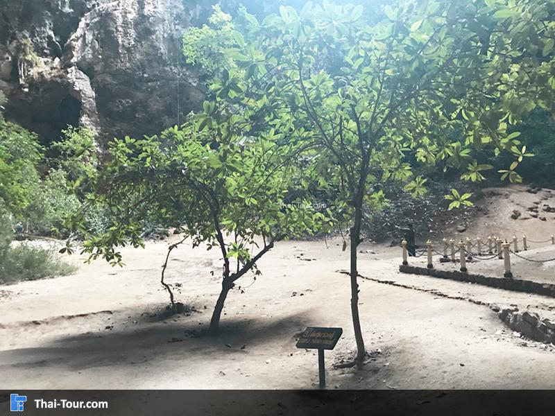 บรรยากาศภายในถ้ำพระยานคร