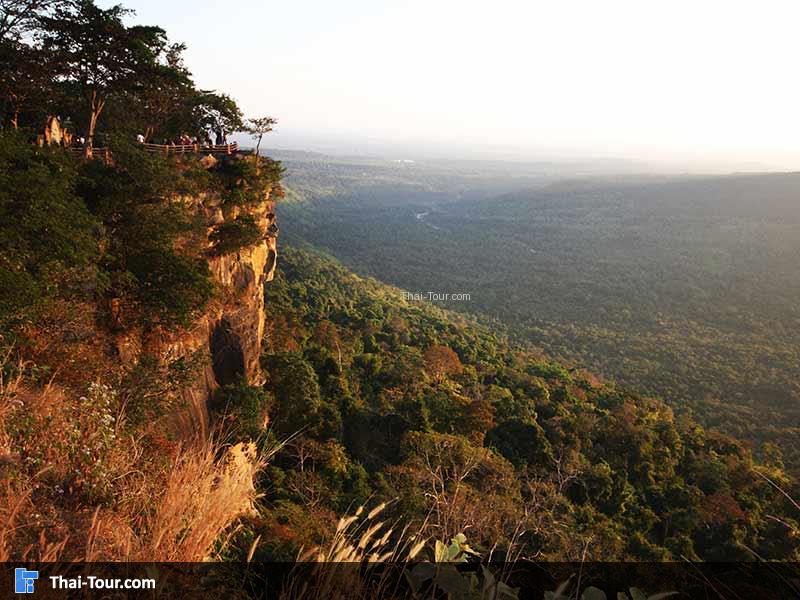 ด้านบนเต็มไปด้วยวิวต้นไม้