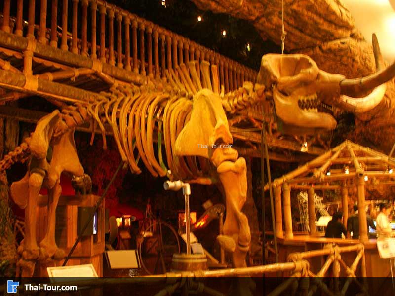 จำลอง โครงกระดูกไดโนเสาร์