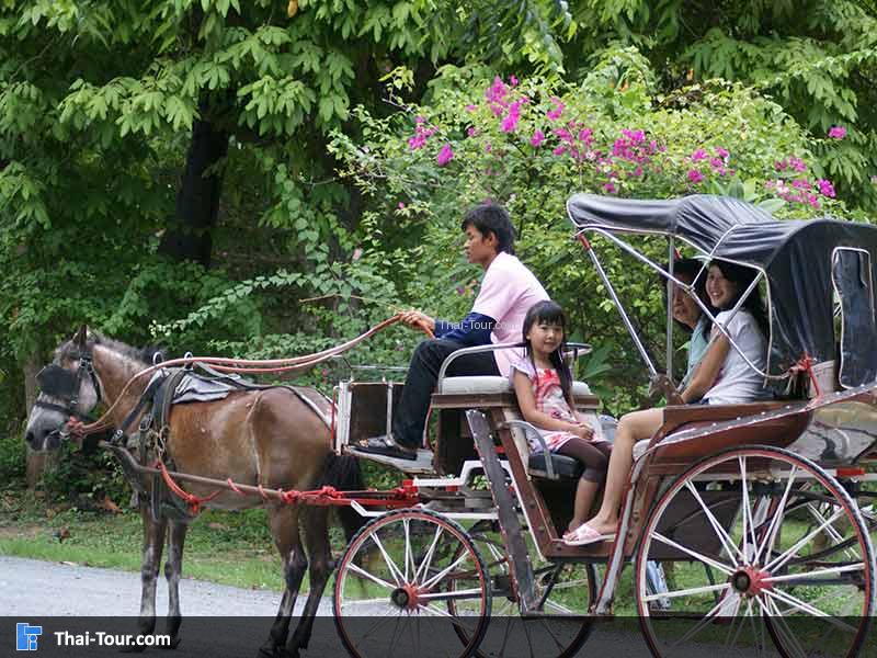 นั่งรถม้า ชมบรรยากาศ