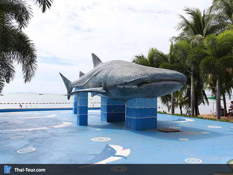 บริเวณรอบๆ บางเสร่