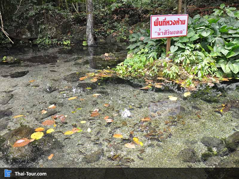 น้ำใสมาก