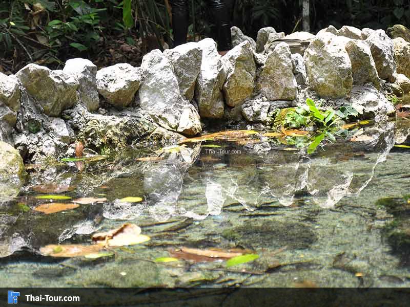 จุดนี้เป็นน้ำศักดิ์สิทธิ์