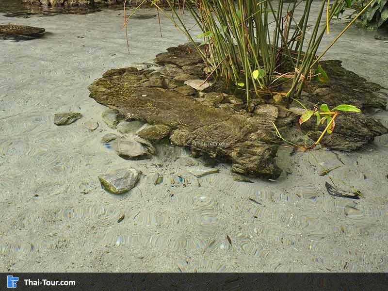 น้ำเย็นมาก สบายเลยอากาศร้อนๆแบบนี้