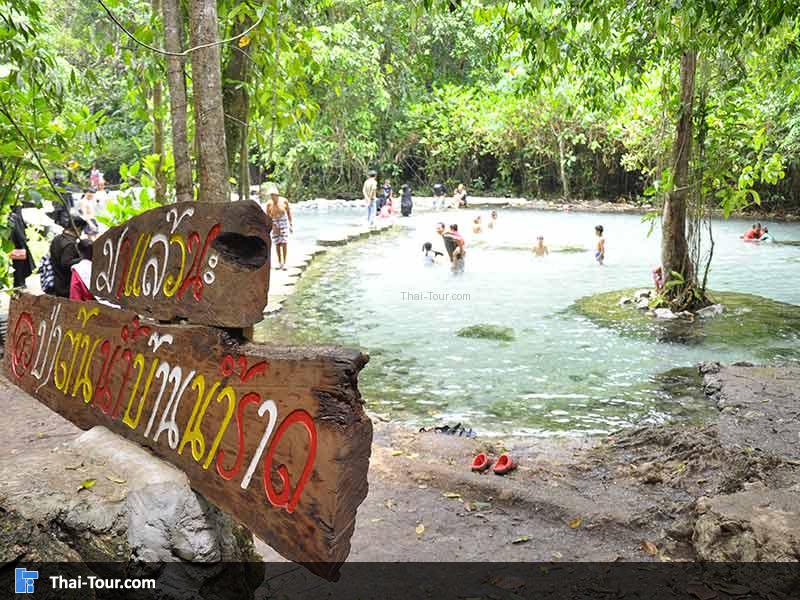 ที่นี่ไม่ได้อนุญาติให้เอาอาหารเข้ามาทานได้ ถือว่าสะอาดมาก