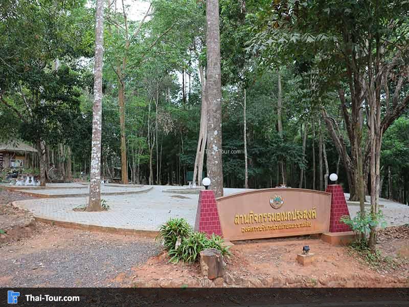 ลานกิจกรรมอเนกประสงค์