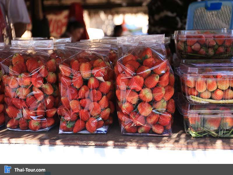 สตรอเบอรรี่