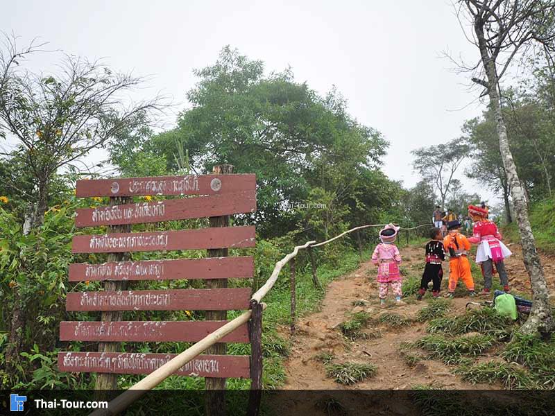ทางเดินขึ้นจะเจอกับเด็กๆชาวเขามายืนร้องเพลงเพื่อเป็นทุนการศึกษา