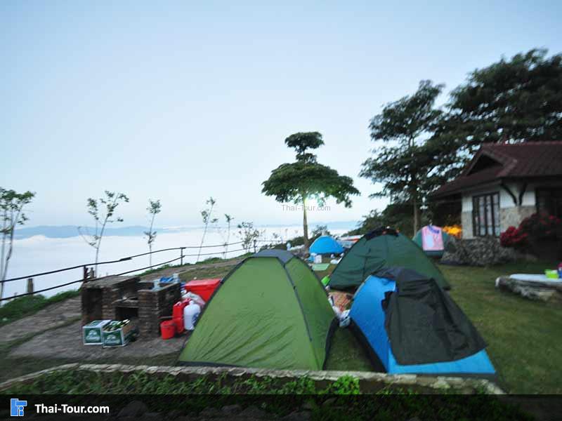 ลานกางเต้นท์