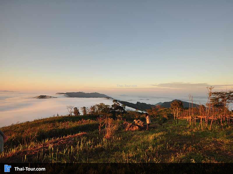 จุดชมวิวทะเลหมอกด้านบน