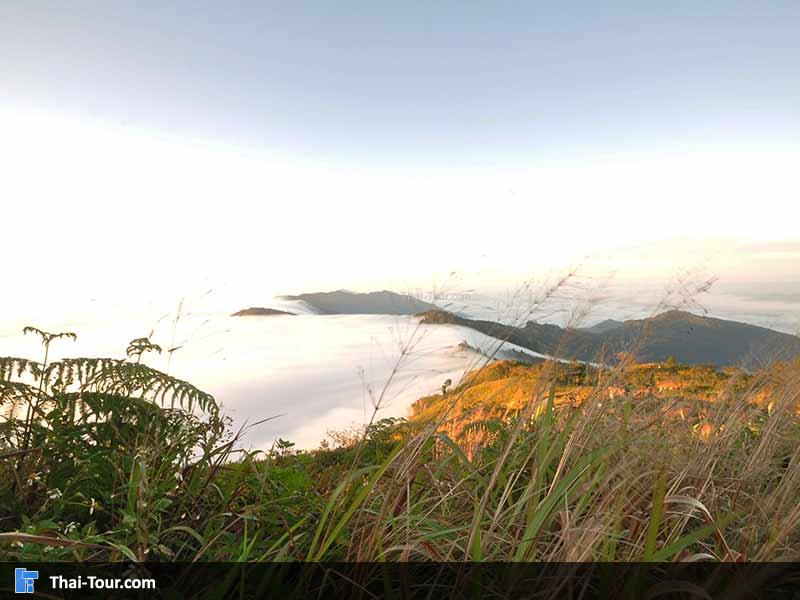 ทะเลหมอกอลังการณ์มาก