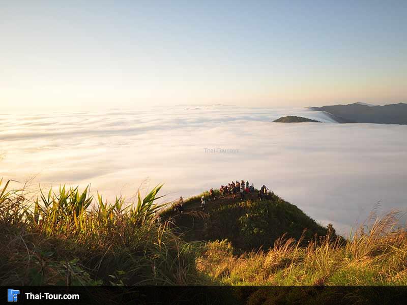 ผู้คนชื่อชมทะเลหมอก