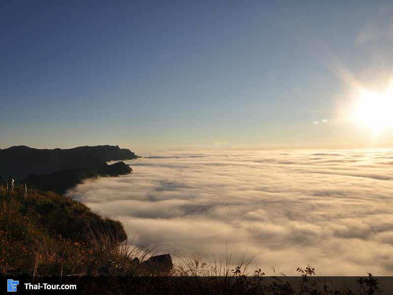 พระอาทิตย์ขึ้นยามเช้า
