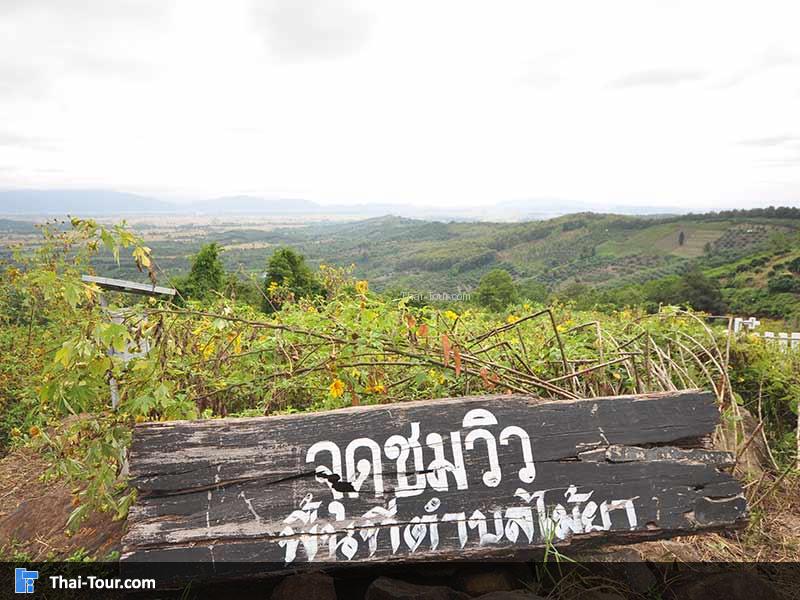 จุดชมวิวด้านบนสวยๆ 