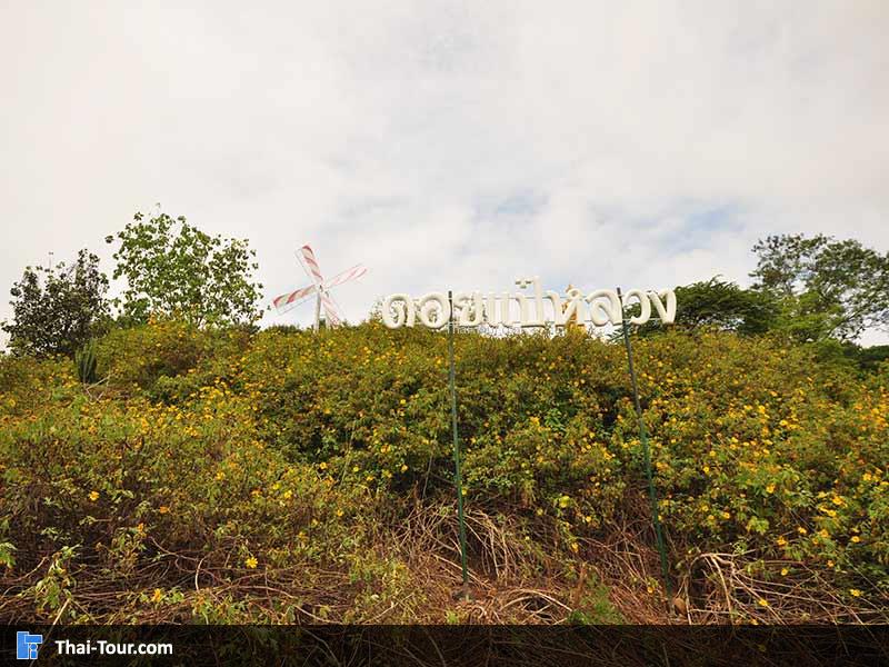 ถ่ายป้ายด้านหน้า ดอยเป้หลวง