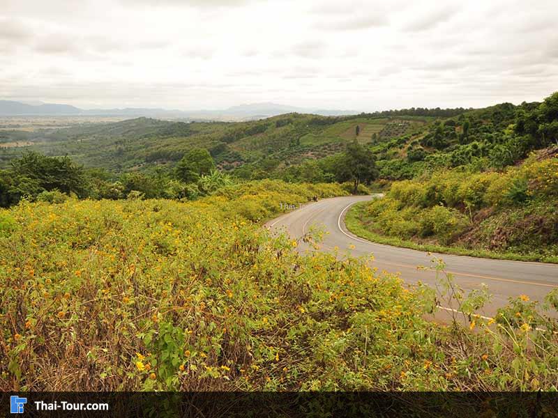 ถนนโค้งสวยงามไม่ค่อยมีรถผ่าน
