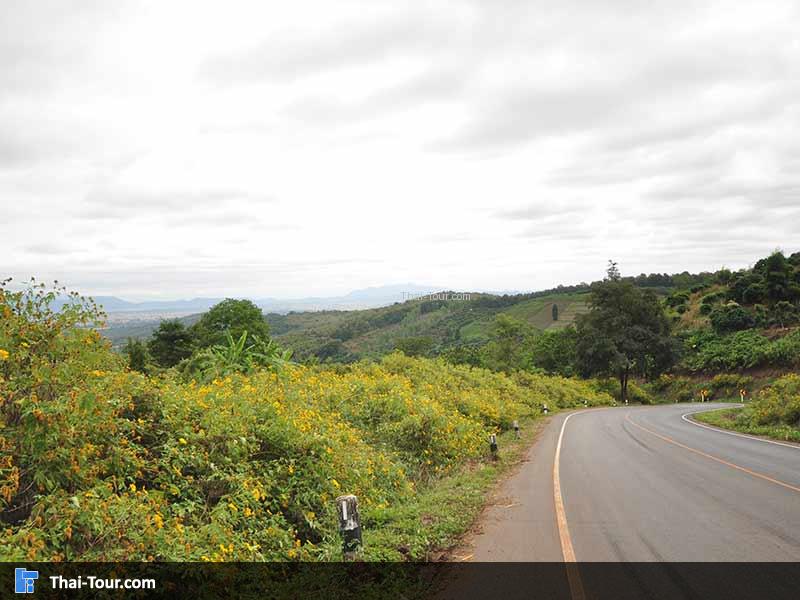 วิวถนนสวยๆ