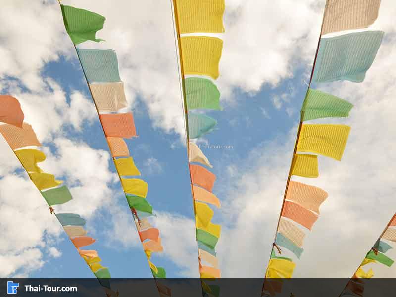 คัมภี ติดเรียงรายเต็มไปหมด สวยงามมาก