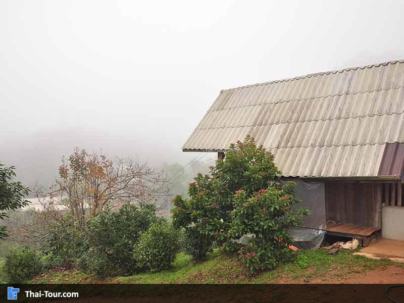 จุดชมวิวมองไปด้านล่าง