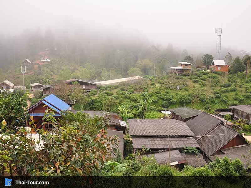 วิวจากร้านกาแฟ