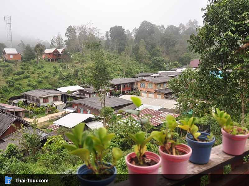 บรรยากาศชิวๆ