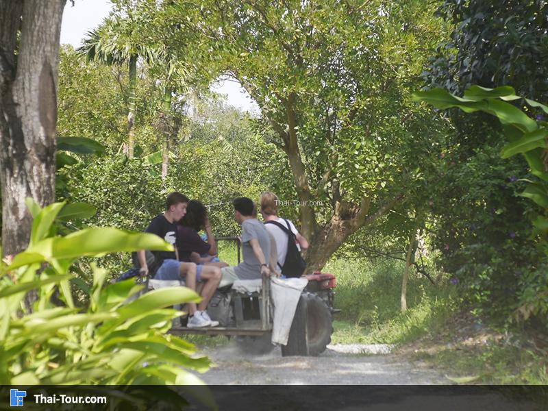 อากาศกำลังดีไม่ค่อยร้อนมาก