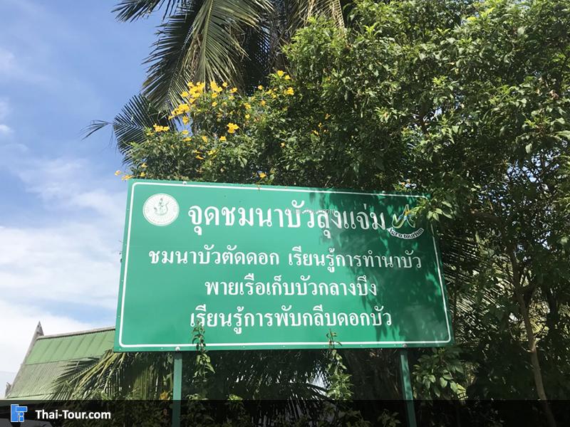 ป้ายจุดชมนาบัว