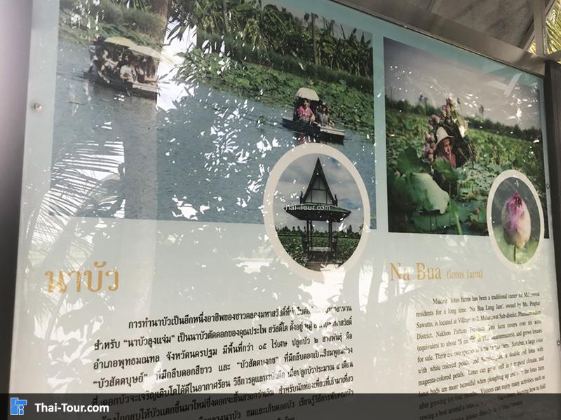 ประวัติความเป็นมา