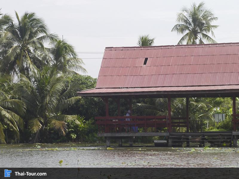จุดแวะพักชม สามารถลงไปพายเรือ