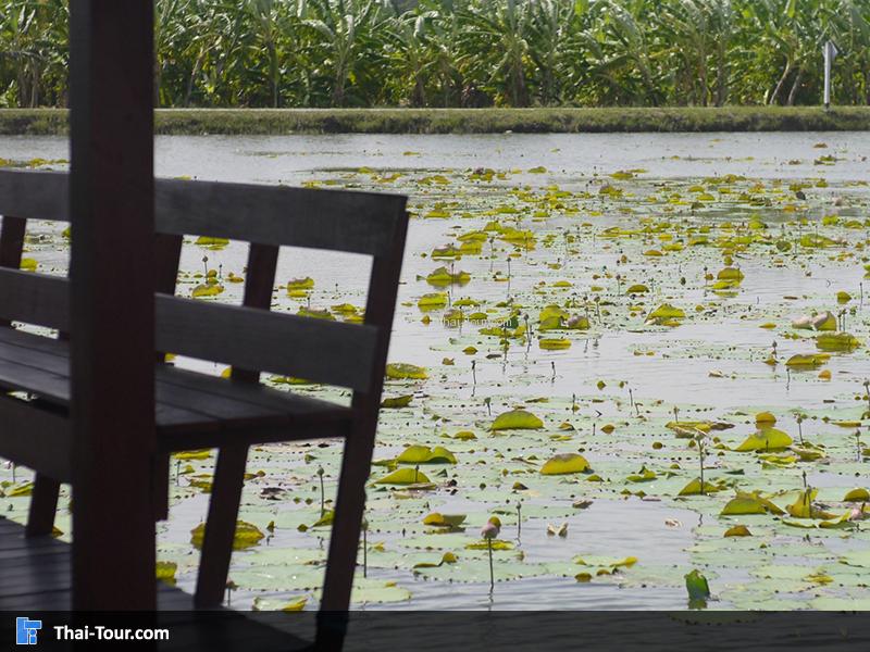 นั่งชมบรรยากาศ