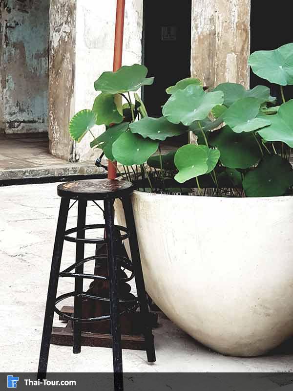 กระถางบัว