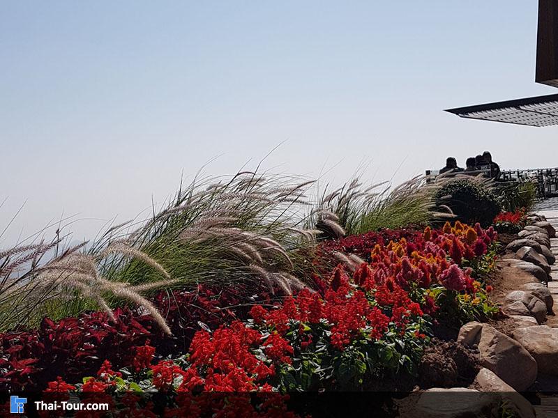 วิวสวยๆ ริมจุดชมวิว