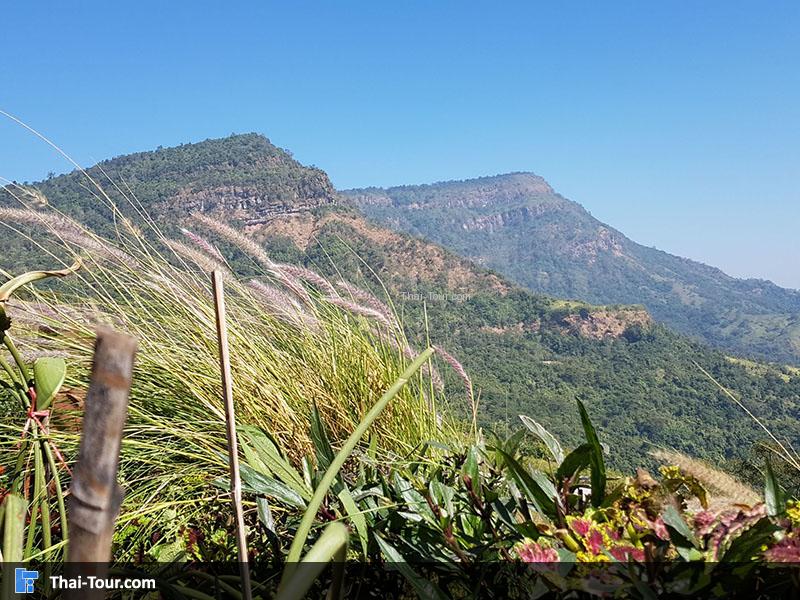 วิวภูเขา