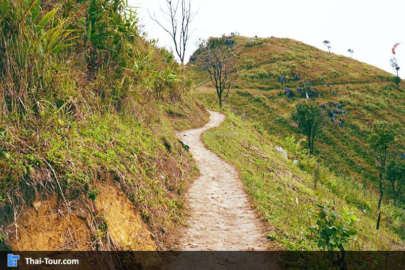 ดอยผาตั้ง