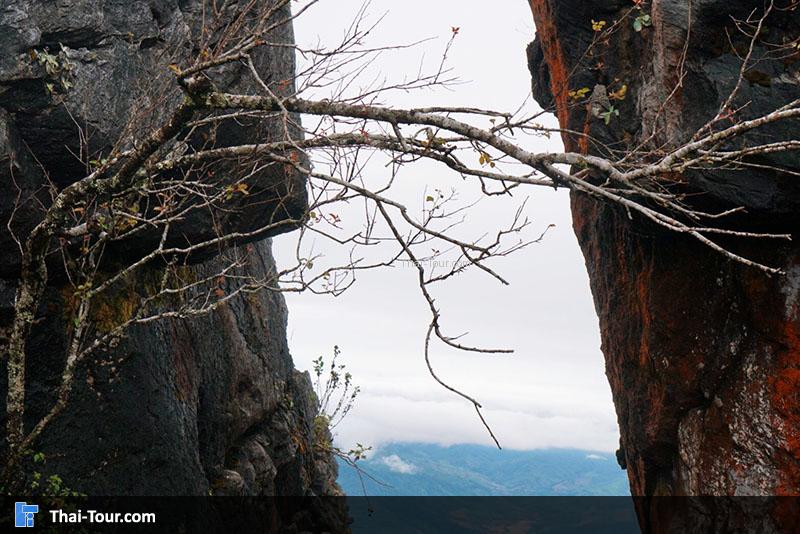 ช่องชมวิว ดอยผาตั้ง